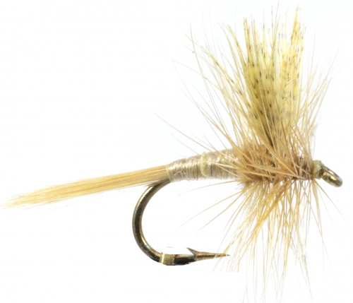 The Essential Fly Cahill Light Fishing Fly